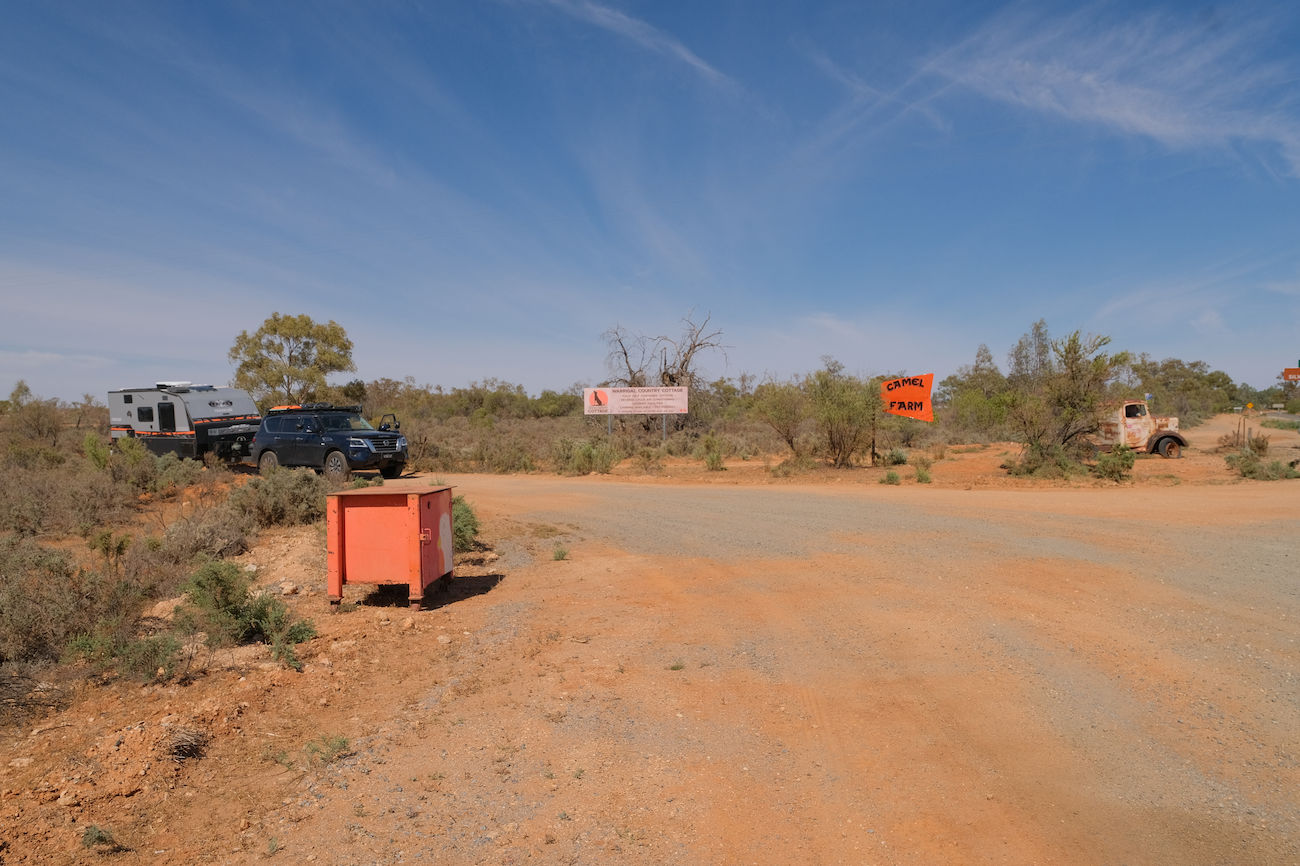 Silverton Outback Camels – Review