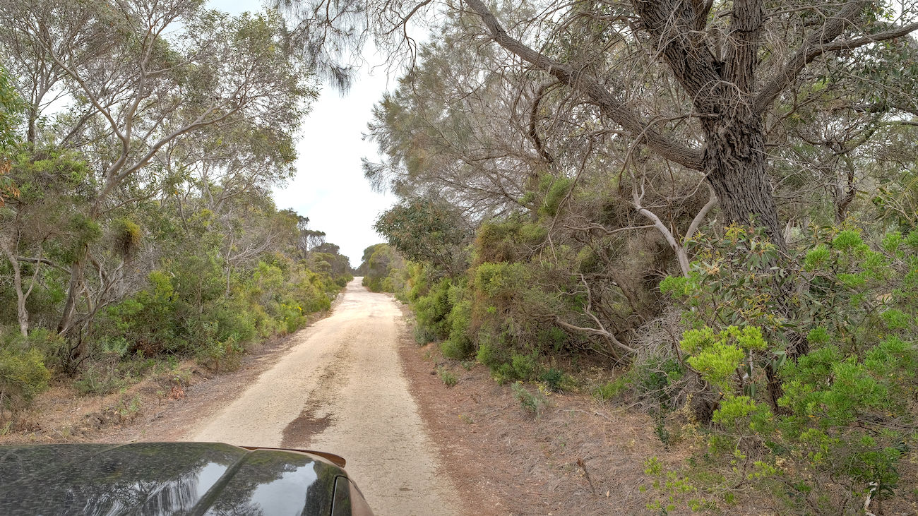 Three Excellent Day Trips from Port Lincoln