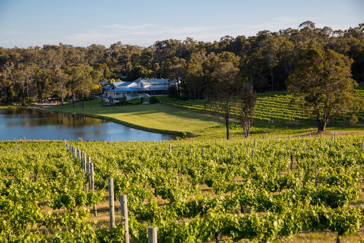 Winery in Margaret River region